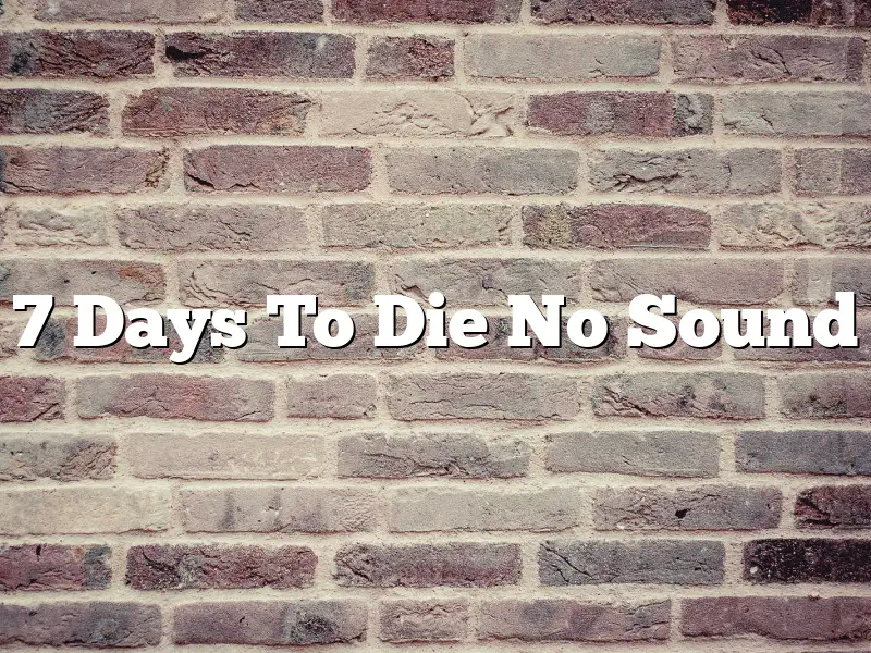 7 Days To Die No Sound
