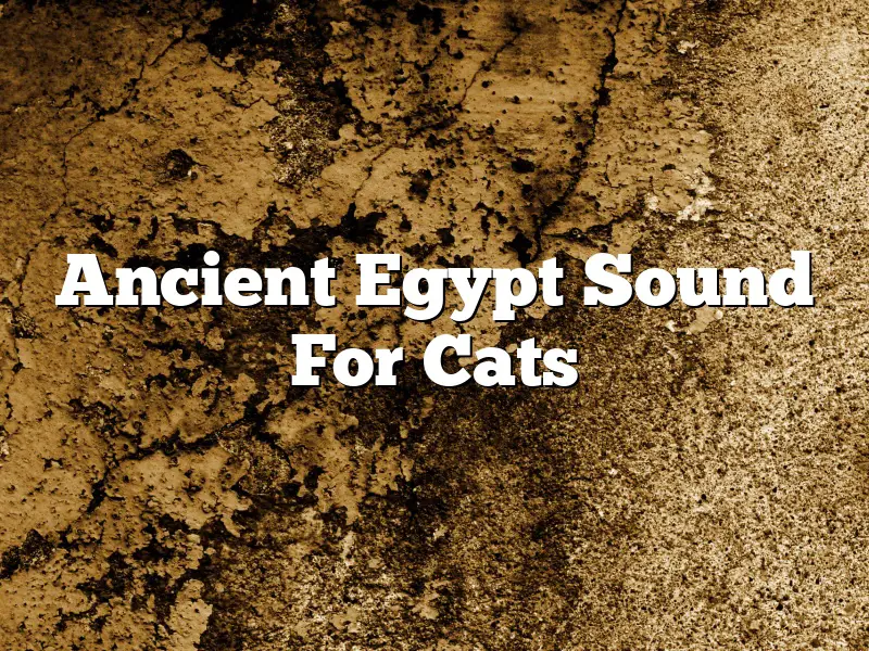 Ancient Egypt Sound For Cats