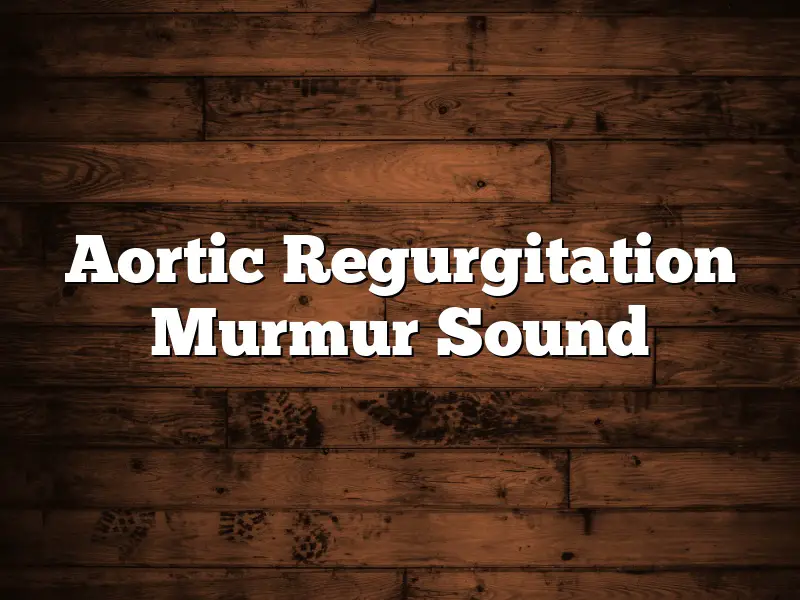 Aortic Regurgitation Murmur Sound