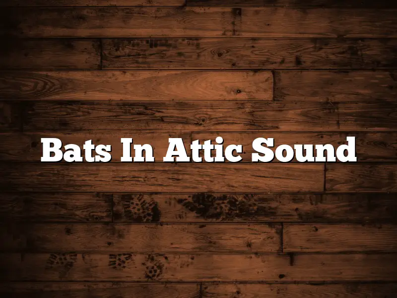 Bats In Attic Sound
