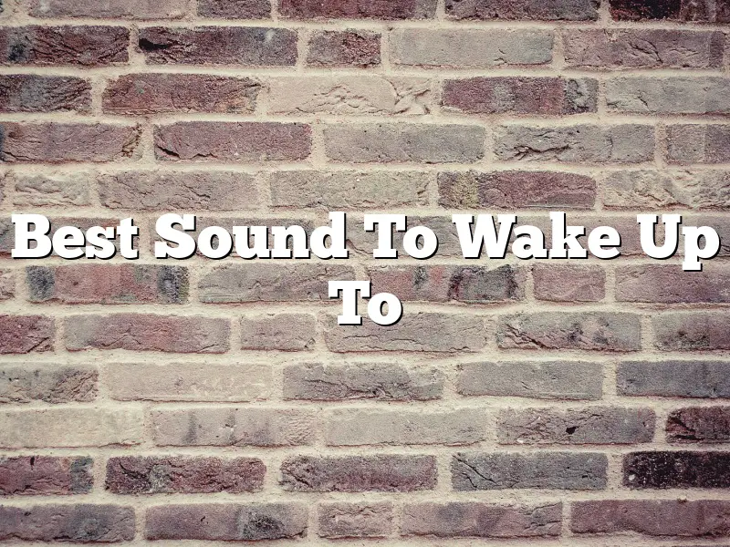 Best Sound To Wake Up To