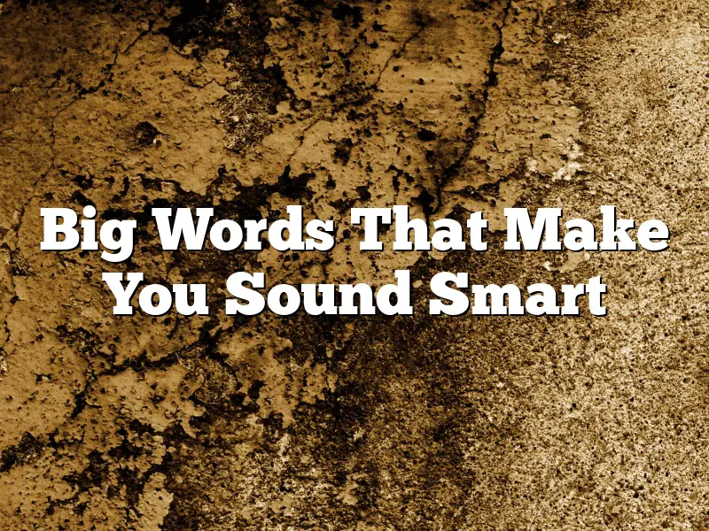Big Words That Make You Sound Smart