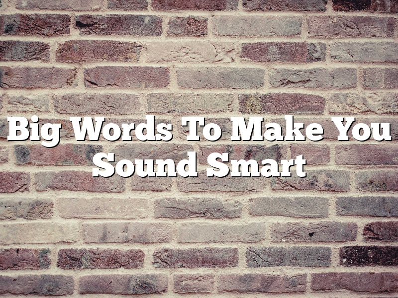 Big Words To Make You Sound Smart