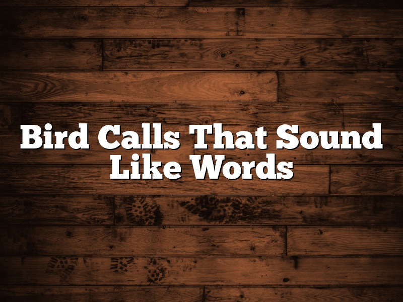 Bird Calls That Sound Like Words