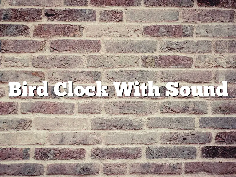 Bird Clock With Sound