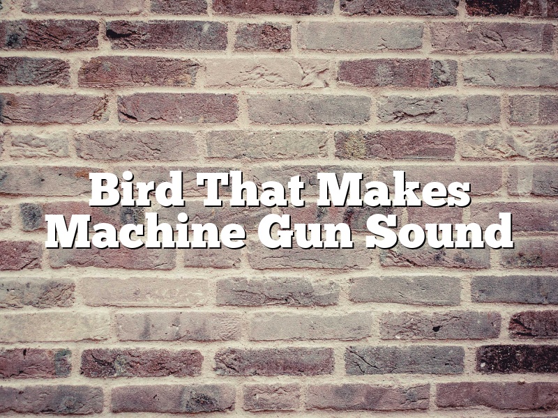 Bird That Makes Machine Gun Sound