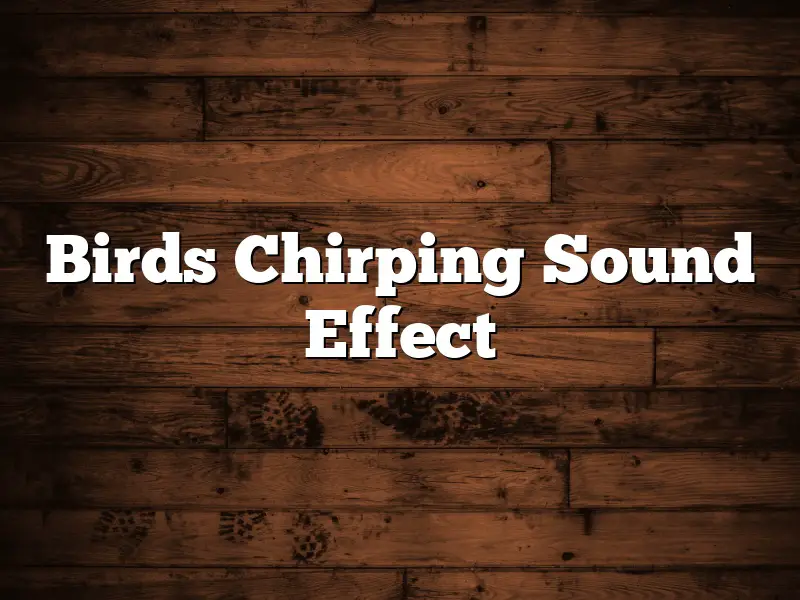 Birds Chirping Sound Effect