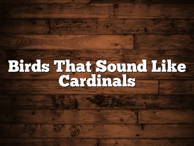 Birds That Sound Like Cardinals