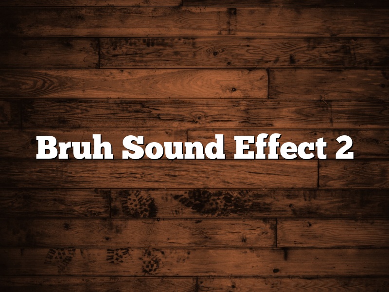 Bruh Sound Effect 2