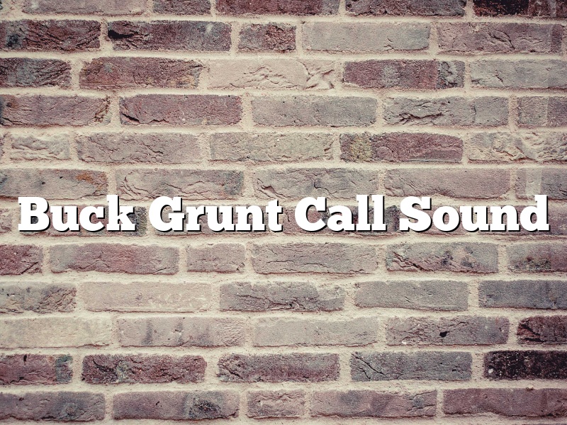 Buck Grunt Call Sound
