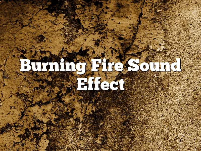 Burning Fire Sound Effect