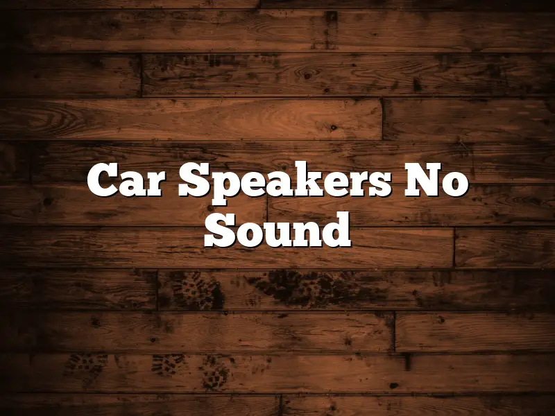 Car Speakers No Sound