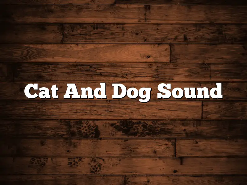 Cat And Dog Sound