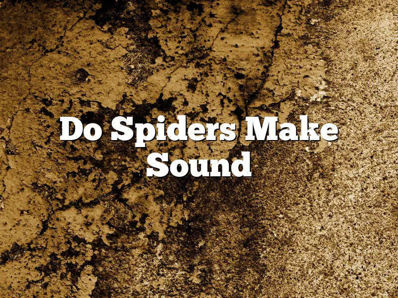 Do Spiders Make Sound