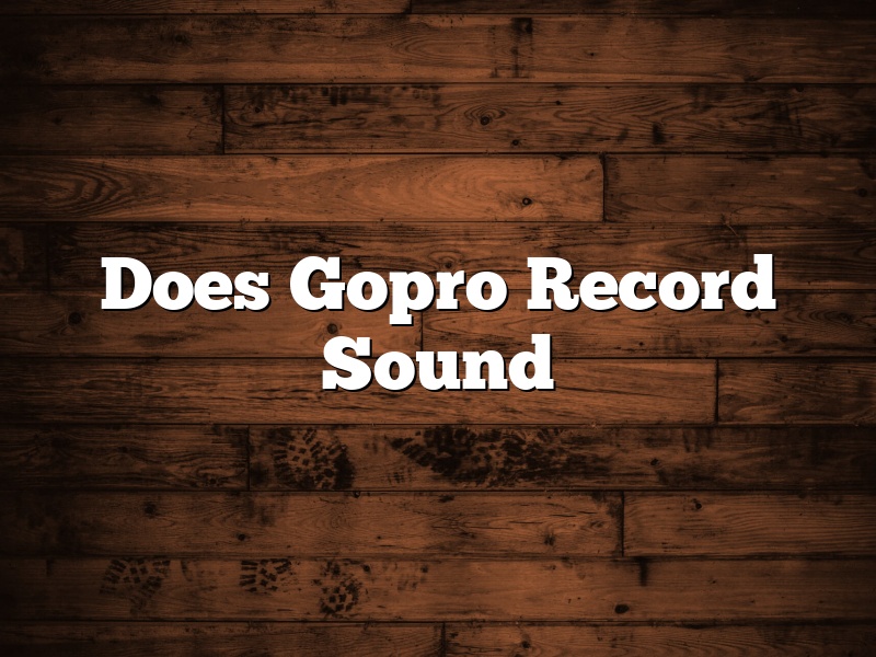 Does Gopro Record Sound