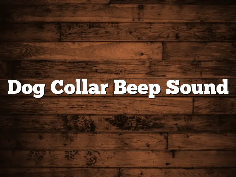 Dog Collar Beep Sound