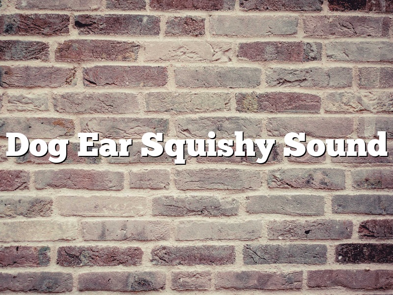 Dog Ear Squishy Sound