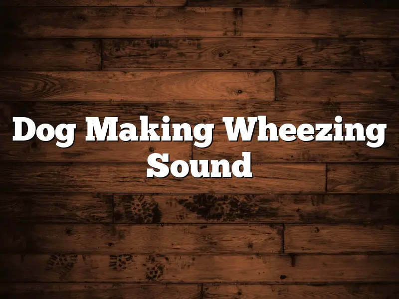 Dog Making Wheezing Sound