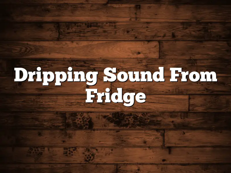 Dripping Sound From Fridge