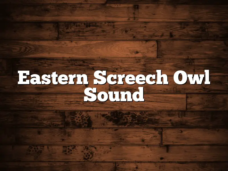 Eastern Screech Owl Sound