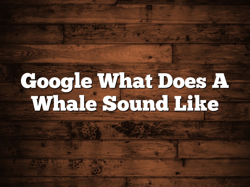 Google What Does A Whale Sound Like