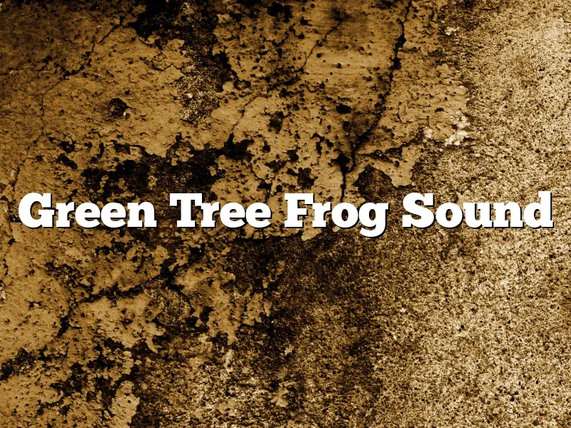 Green Tree Frog Sound