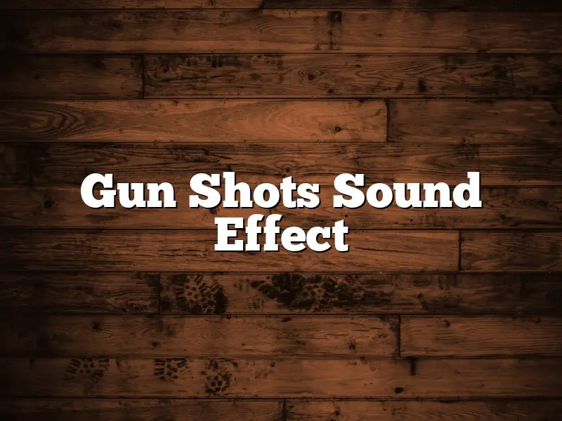 Gun Shots Sound Effect