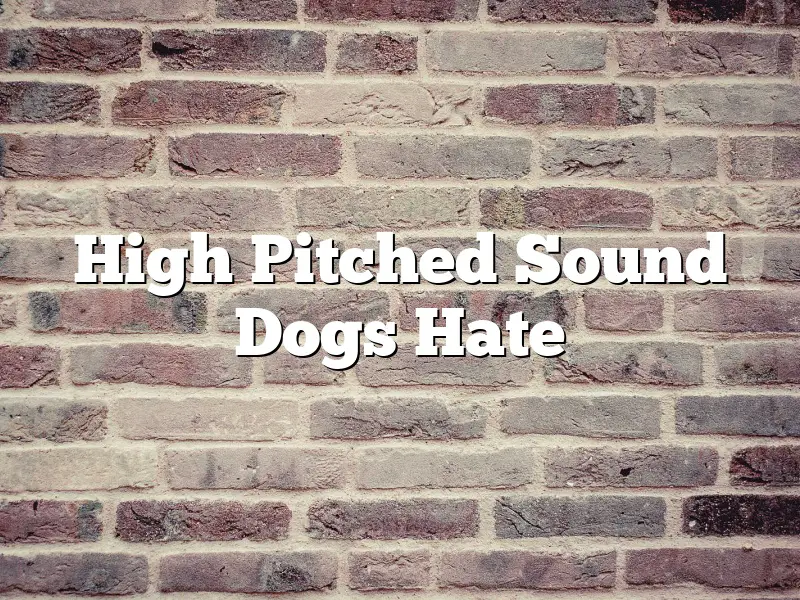 High Pitched Sound Dogs Hate