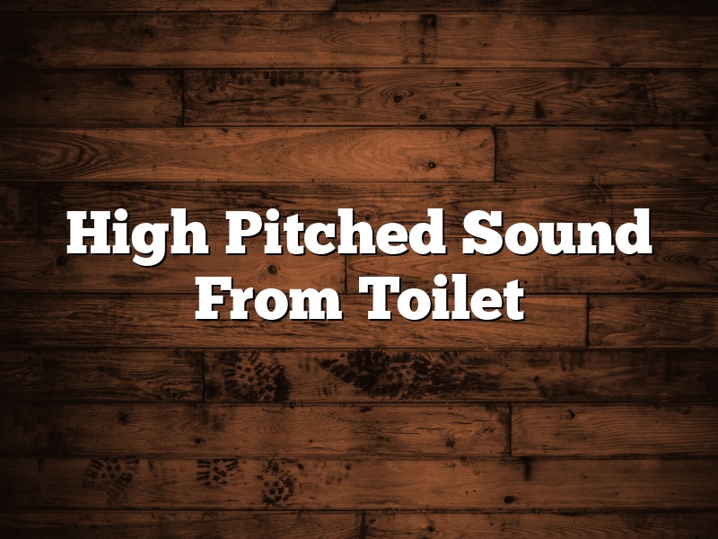 High Pitched Sound From Toilet