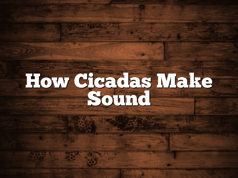 How Cicadas Make Sound