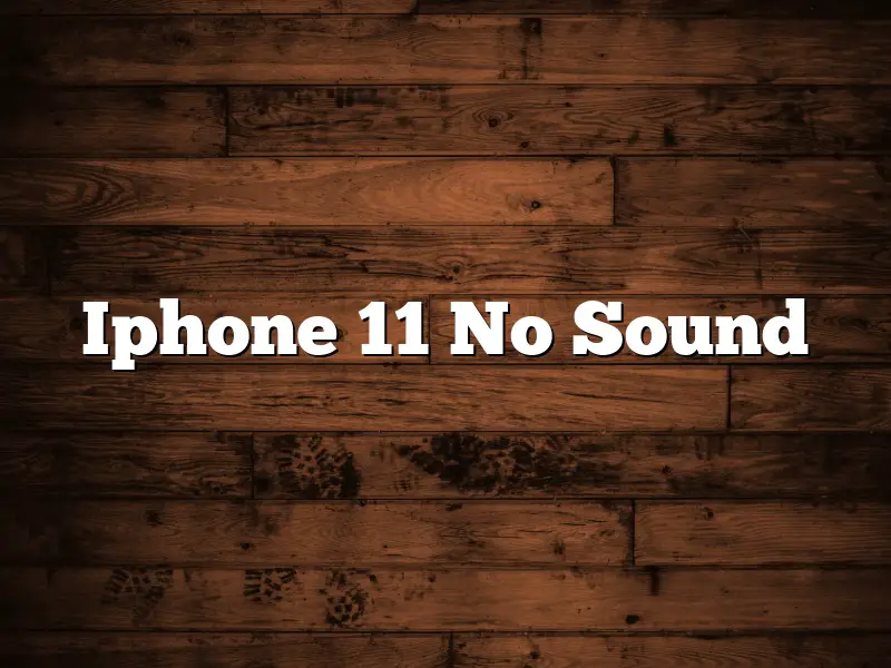 Iphone 11 No Sound