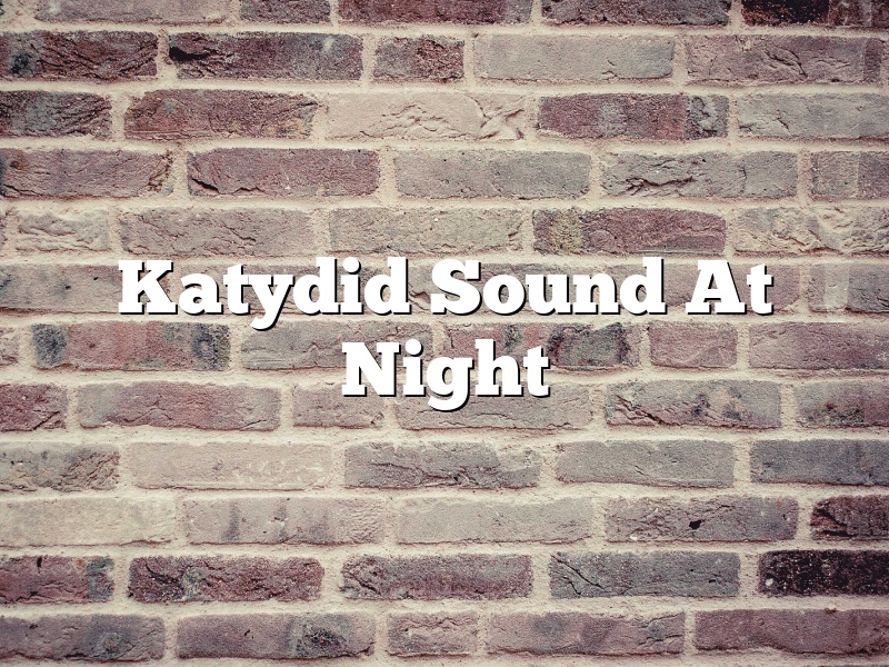 Katydid Sound At Night