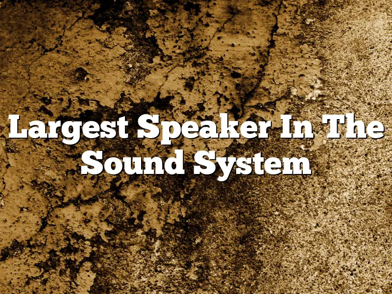 Largest Speaker In The Sound System
