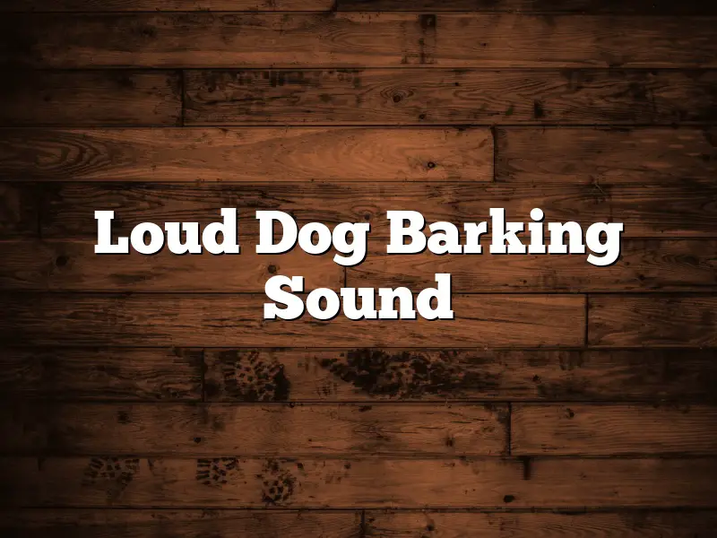 Loud Dog Barking Sound