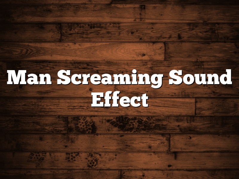 Man Screaming Sound Effect