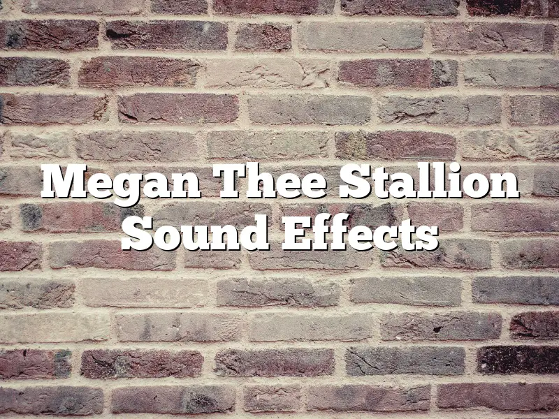 Megan Thee Stallion Sound Effects