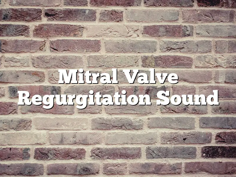 Mitral Valve Regurgitation Sound