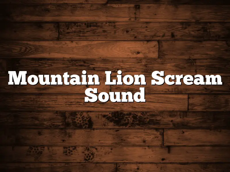 Mountain Lion Scream Sound
