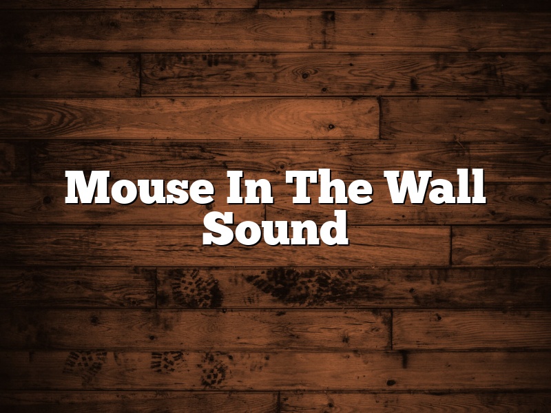 Mouse In The Wall Sound