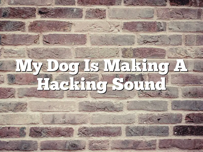 My Dog Is Making A Hacking Sound