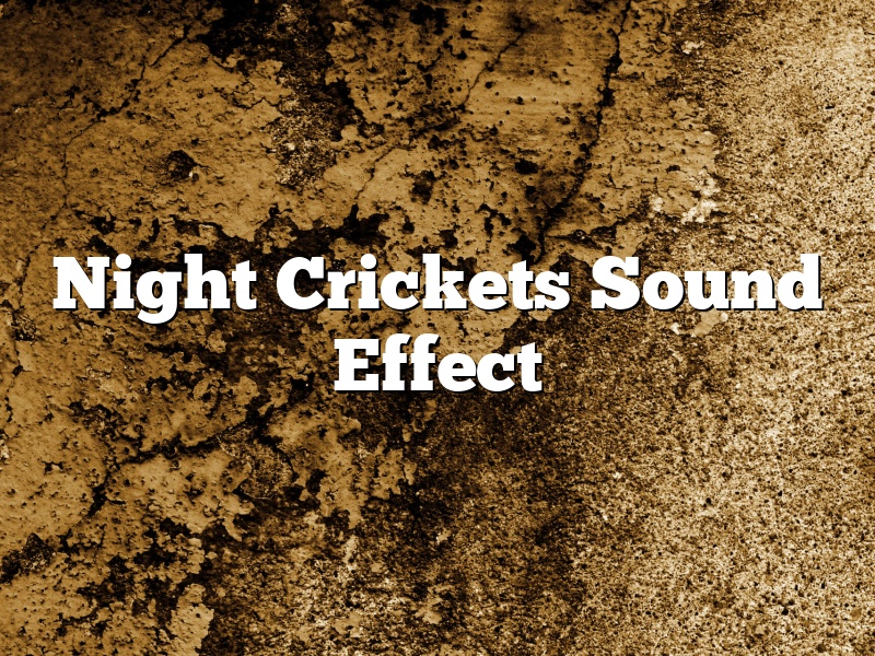 Night Crickets Sound Effect