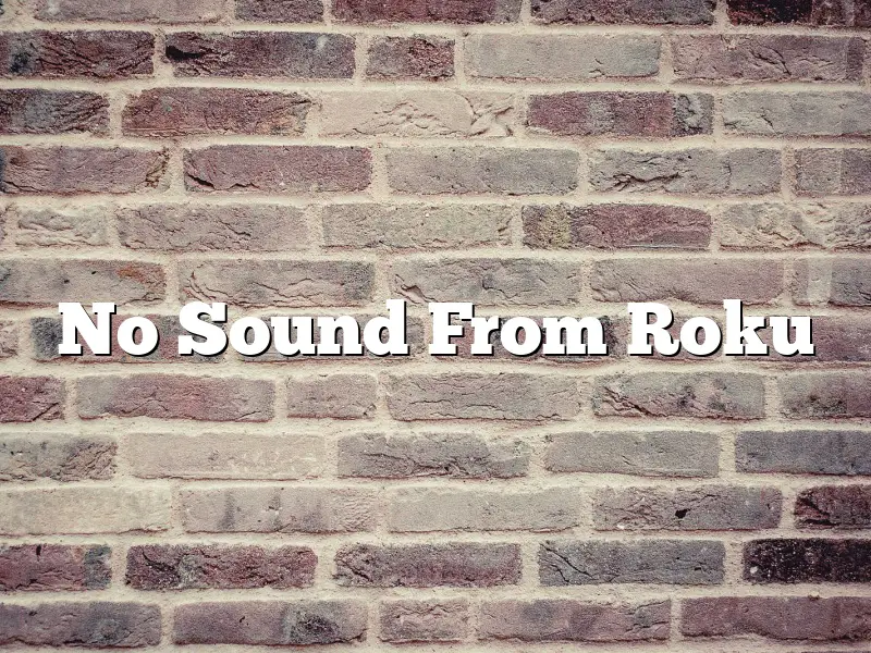 No Sound From Roku