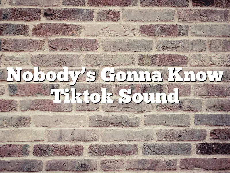 Nobody’s Gonna Know Tiktok Sound