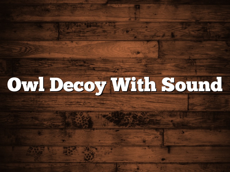 Owl Decoy With Sound