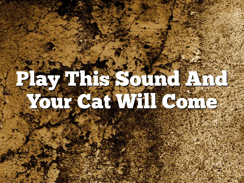 Play This Sound And Your Cat Will Come