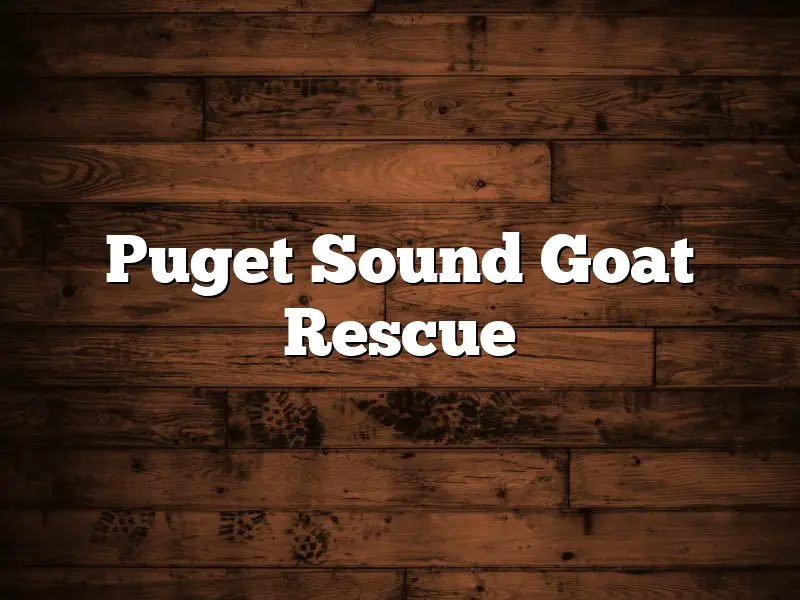 Puget Sound Goat Rescue