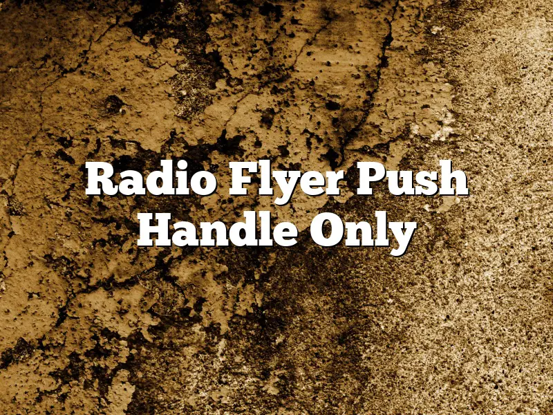 Radio Flyer Push Handle Only