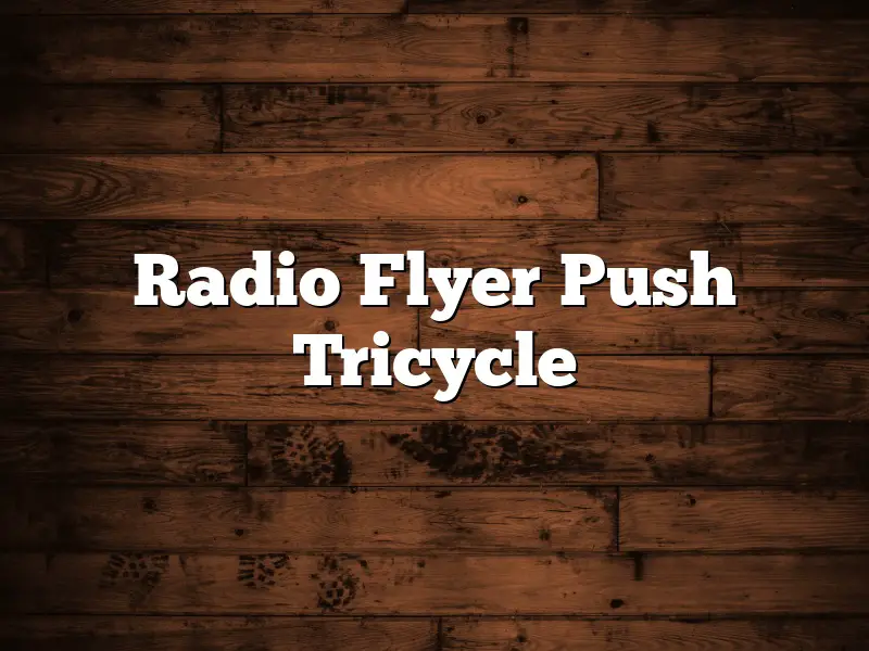 Radio Flyer Push Tricycle