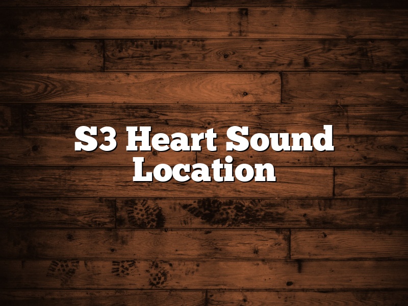 S3 Heart Sound Location
