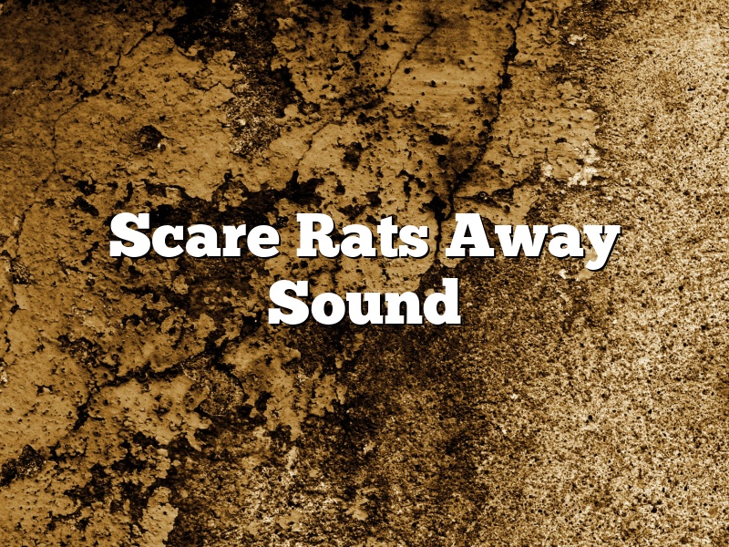 Scare Rats Away Sound